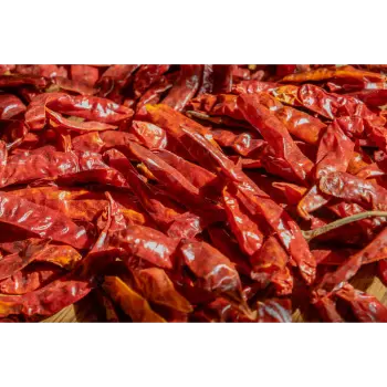 Natural Guntur Dry Red Chilli